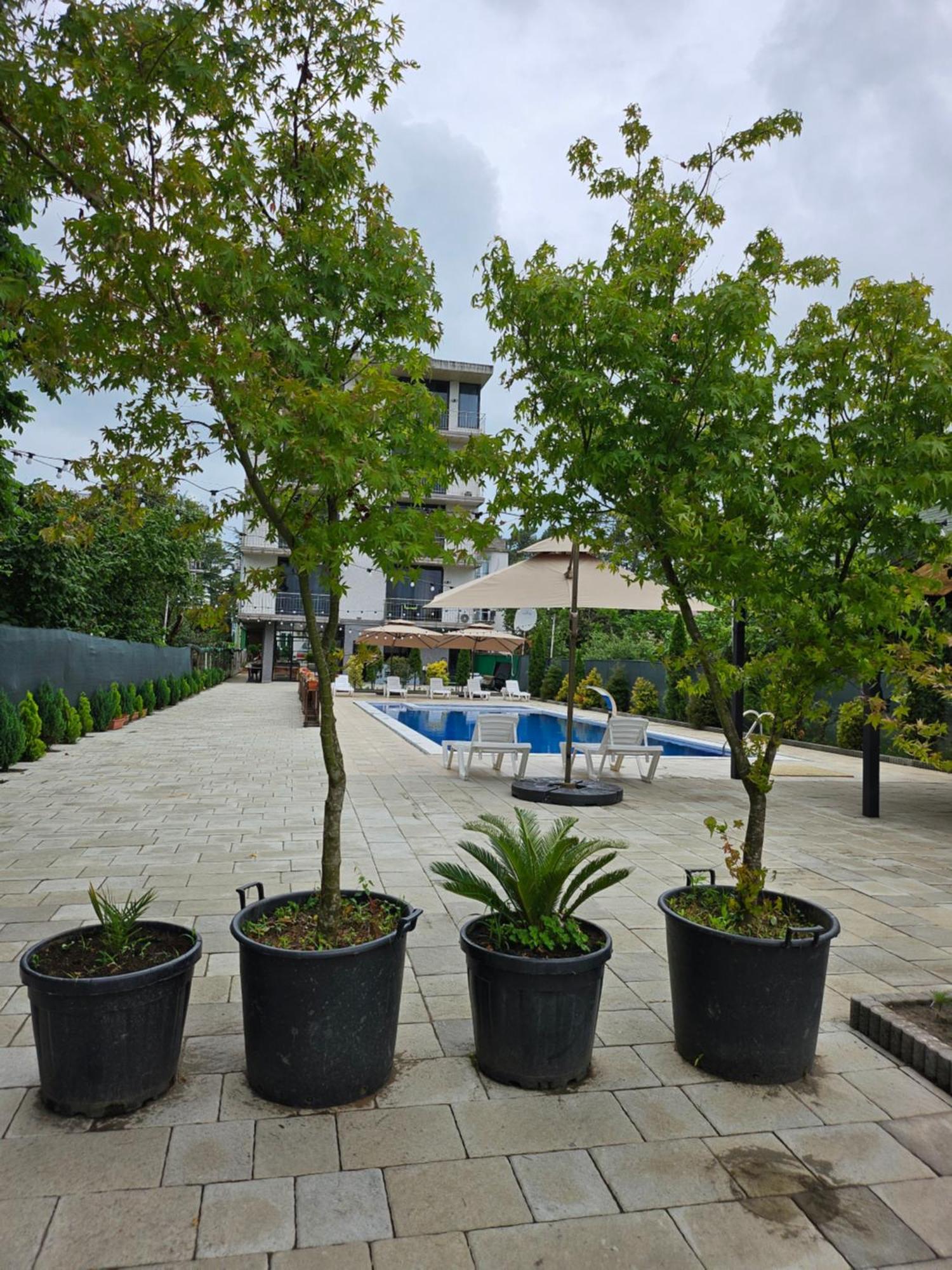 Green Terrace كوبوليتي المظهر الخارجي الصورة
