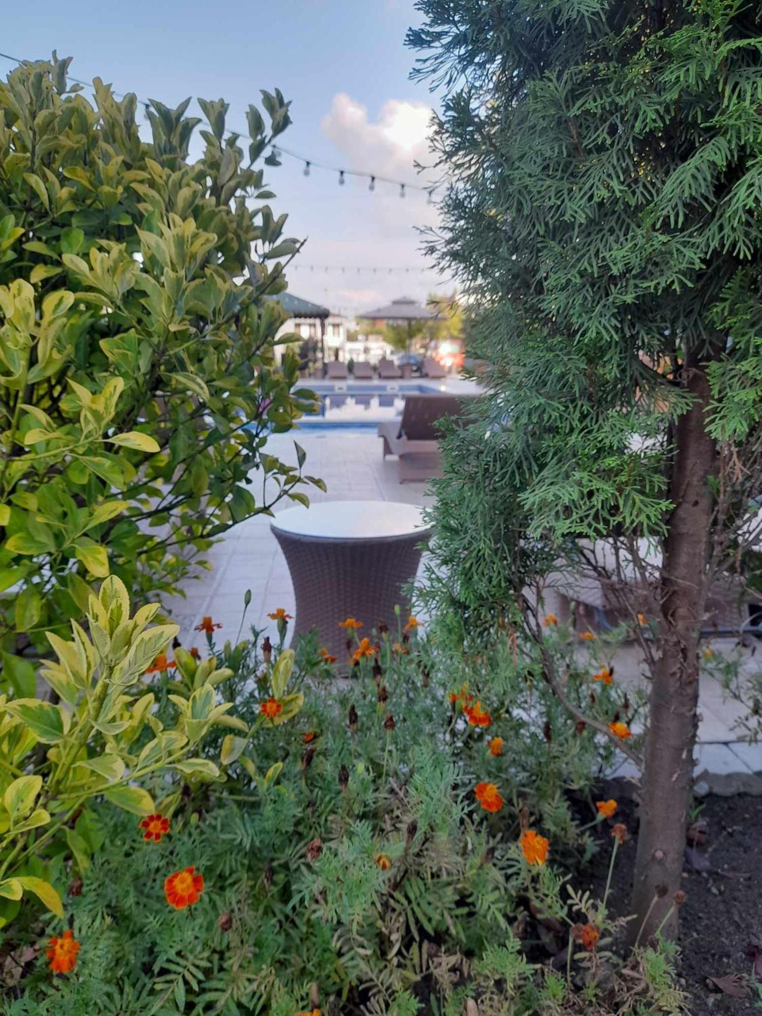 Green Terrace كوبوليتي المظهر الخارجي الصورة